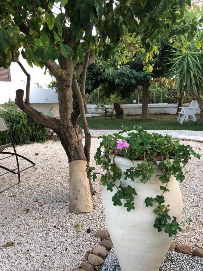 Il Gelso Nella Valle Agrigente Extérieur photo